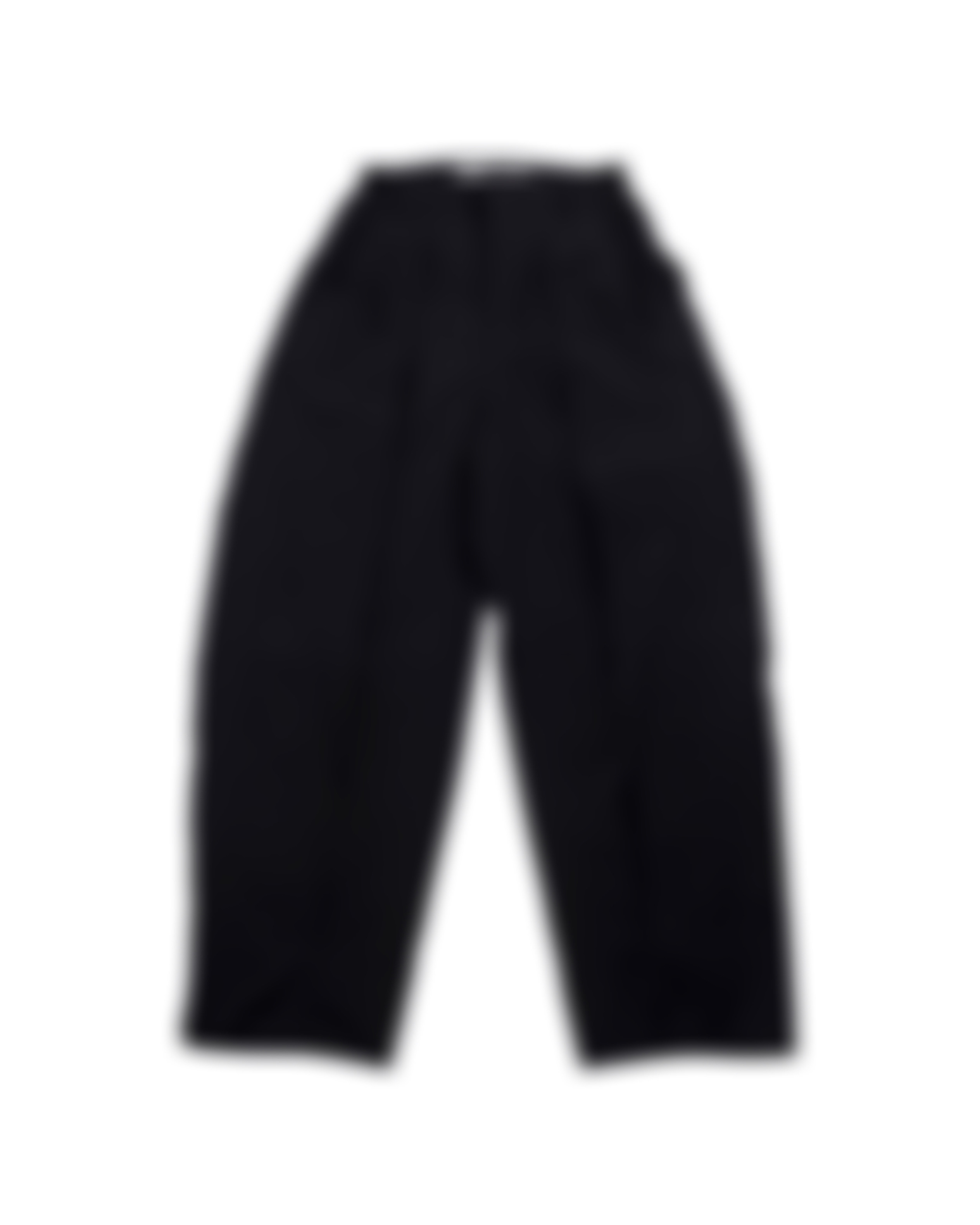 PATH PLEATED TECHNICAL PANTS